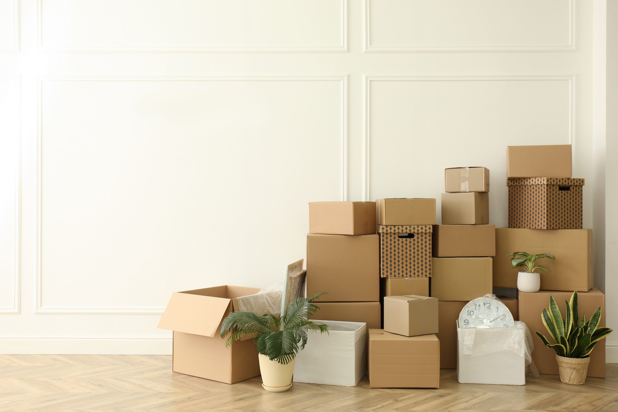 Cardboard Boxes With Stuff And Houseplants In Room Space For British 